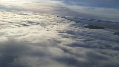 20151222_140637 (Large).jpg